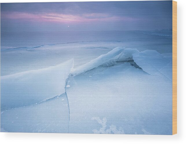 Landscape Wood Print featuring the photograph Frozen #2 by Davorin Mance