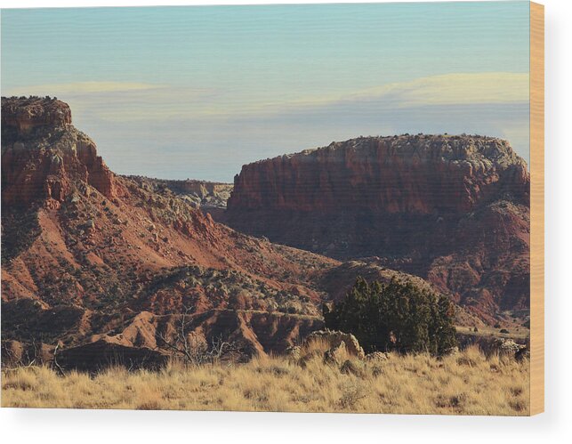 Ghost Ranch Wood Print featuring the photograph Ghost Ranch #2 by David Diaz