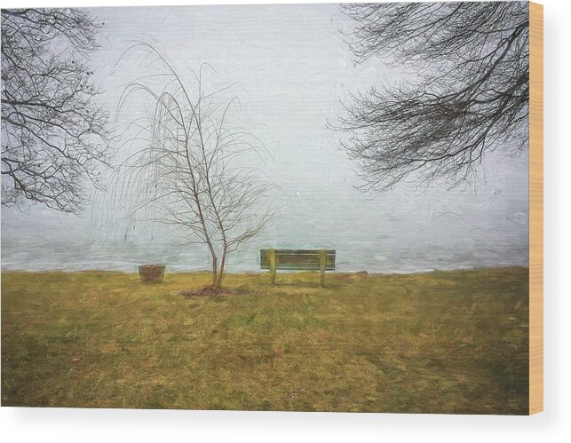Green Pond Wood Print featuring the photograph Green Pond New Jersey Winter c407 by Rich Franco
