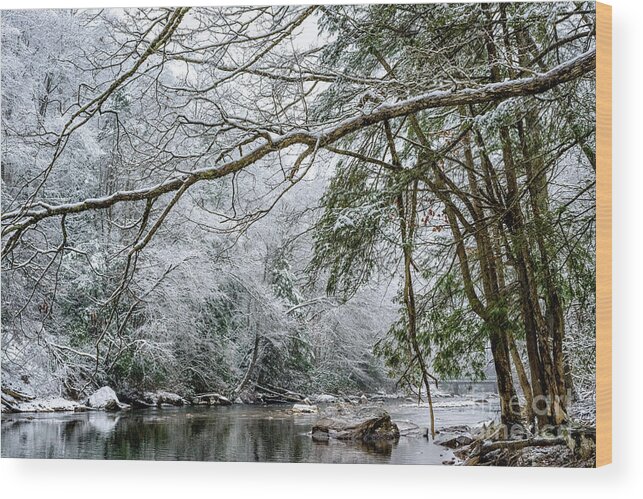 Cranberry River Wood Print featuring the photograph March Snow along Cranberry River #2 by Thomas R Fletcher