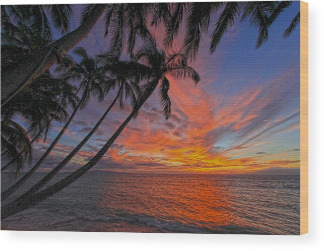 Maui Hawaii Palmtrees Ocean Seascape Tropical Wood Print featuring the photograph Maui Tropics #2 by James Roemmling