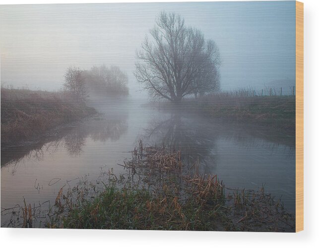 Misty Wood Print featuring the photograph Misty River Nene #2 by Nick Atkin