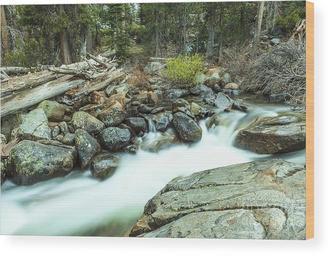 Yosemite Wood Print featuring the photograph Mountain Stream #3 by Ben Graham