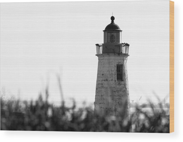 Old Wood Print featuring the photograph Old Point Comfort Lighthouse #2 by Travis Rogers