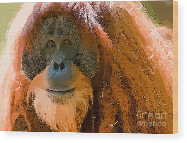 Orangutan Monkey Animal Close Up Wood Print featuring the photograph Orangutan #2 by Andrew Michael