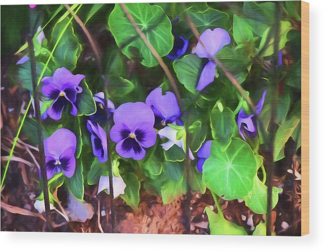 Painterly Wood Print featuring the painting Pansies #2 by Bonnie Bruno