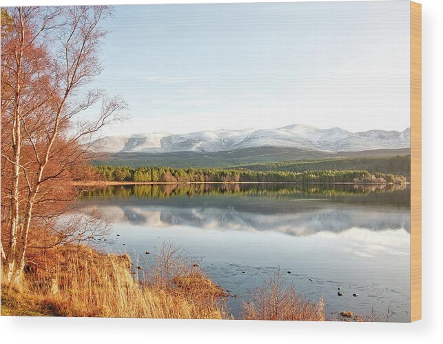 Lake Wood Print featuring the photograph Aviemore by Gouzel -