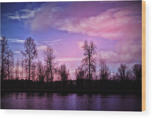 Pink Wood Print featuring the photograph Pink Dawn #2 by Bonnie Bruno