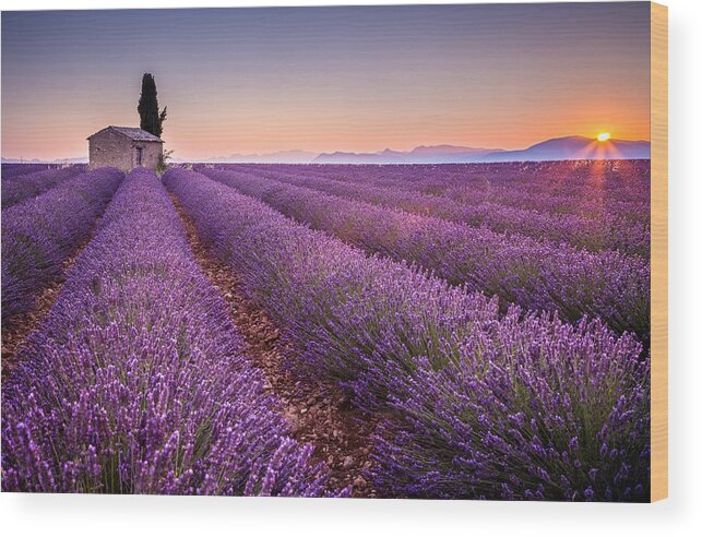 Provence Wood Print featuring the photograph Provence #2 by Stefano Termanini