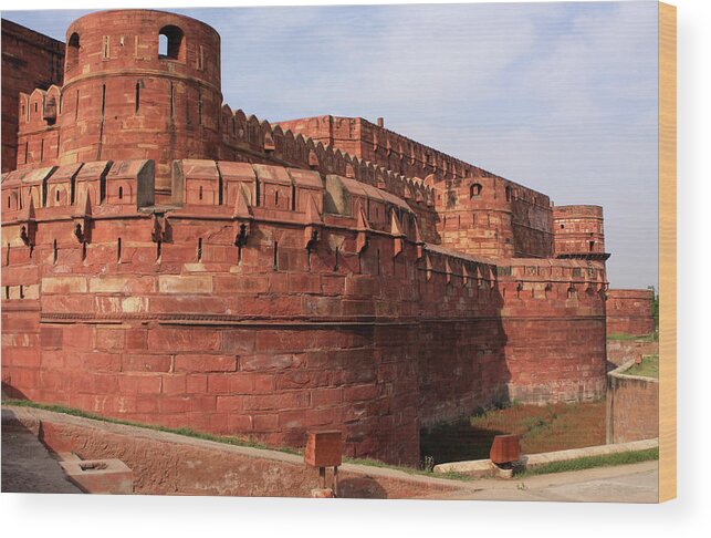 Agra Wood Print featuring the photograph Red Fort, Agra, India #2 by Aidan Moran