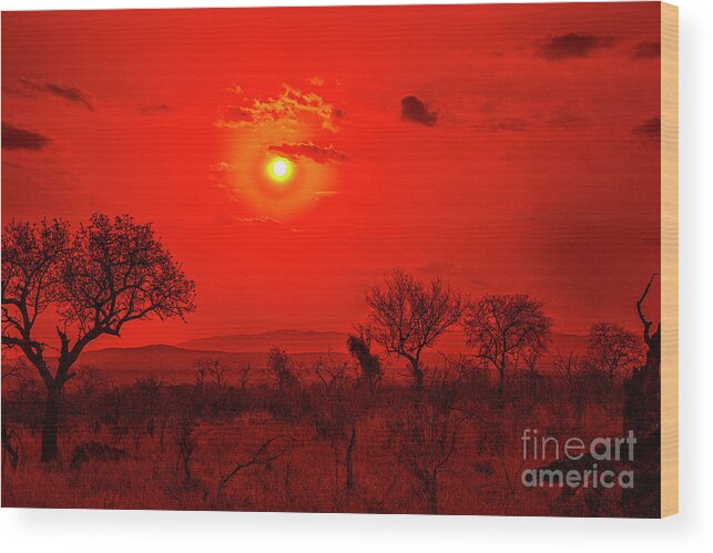 Africa Sunsets Wood Print featuring the photograph Red Sunset #2 by Rick Bragan