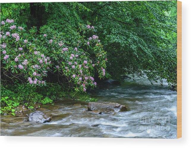 Summer Wood Print featuring the photograph Summer along Birch River #2 by Thomas R Fletcher