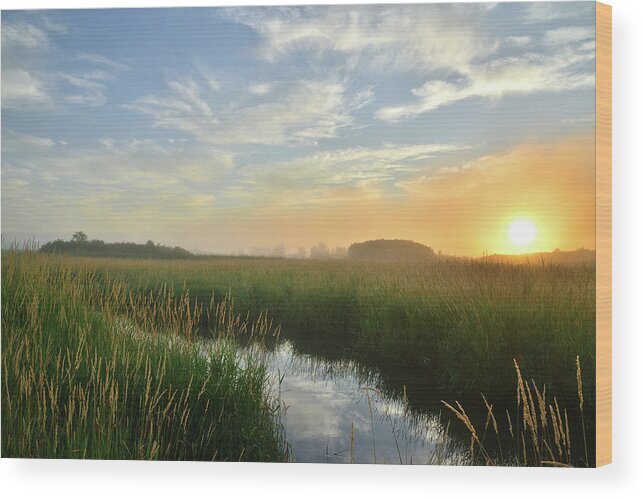 Illinois Wood Print featuring the photograph Sunrise at Glacial Park #2 by Ray Mathis
