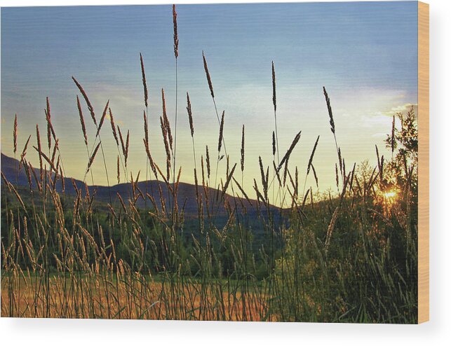 Sunset Wood Print featuring the photograph Sunset Field by Doolittle Photography and Art