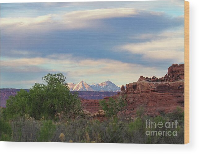 Utah Wood Print featuring the photograph The Shining Mountains by Jim Garrison