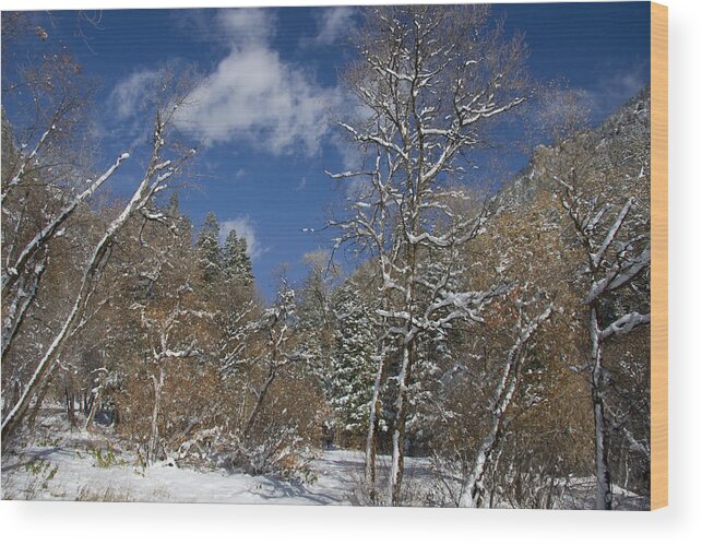 Blue Wood Print featuring the photograph Winter #2 by Mark Smith