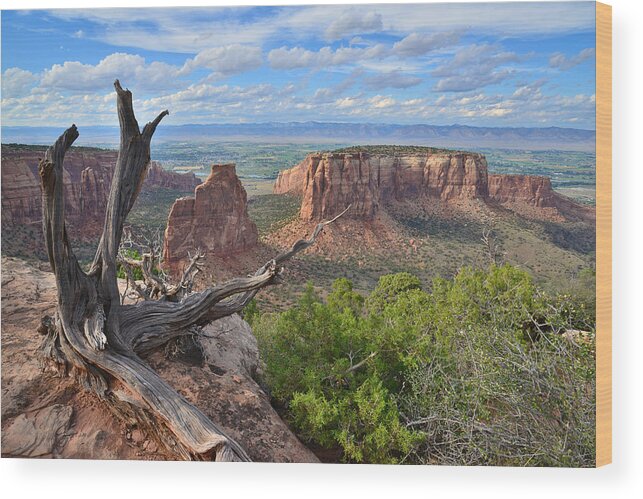 Colorado National Monument Wood Print featuring the photograph Colorado National Monument #20 by Ray Mathis