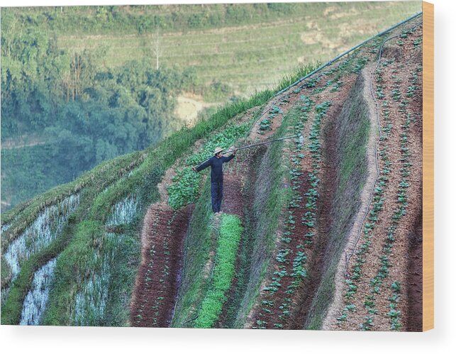 Rice Terraces Wood Print featuring the photograph Sapa - Vietnam #20 by Joana Kruse