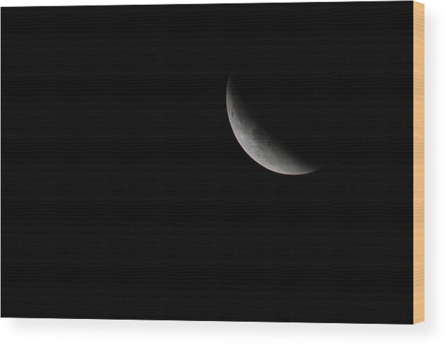 Terry D Photography Wood Print featuring the photograph 2015 Harvest Moon Eclipse 1 by Terry DeLuco