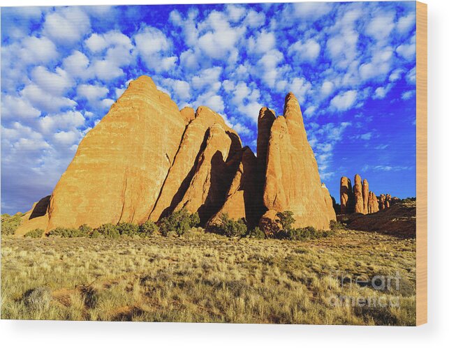 Arches National Park Wood Print featuring the photograph Arches National Park #21 by Raul Rodriguez