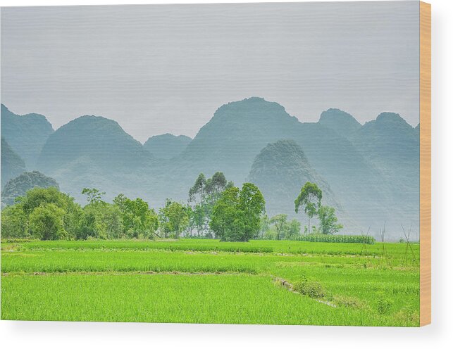 Landscape Wood Print featuring the photograph The beautiful karst rural scenery #21 by Carl Ning