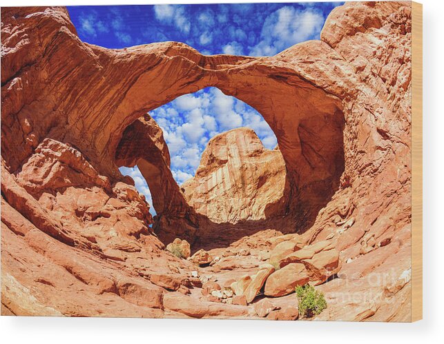 Arches National Park Wood Print featuring the photograph Arches National Park by Raul Rodriguez