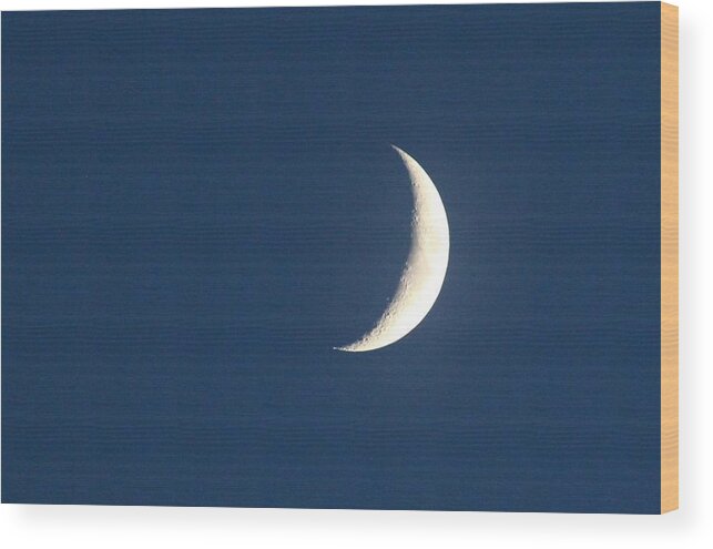 Moon Wood Print featuring the photograph Moons #25 by Donn Ingemie