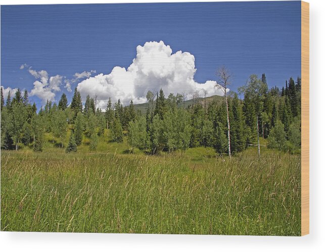 Colors Wood Print featuring the photograph Mountain Meadow #27 by Mark Smith