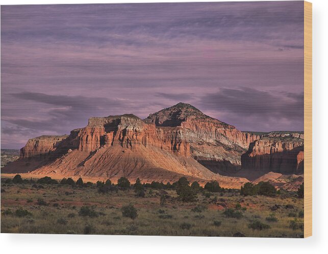 Capitol Reef National Park Wood Print featuring the photograph Capitol Reef National Park #299 by Mark Smith