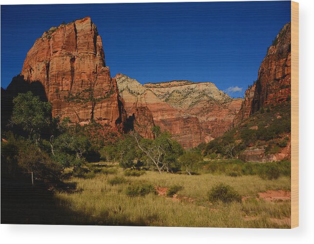 Angel's Landing Wood Print featuring the photograph Angel's Landing #3 by Raymond Salani III