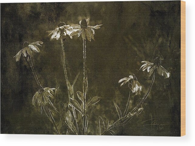 Flowers Wood Print featuring the photograph Black Eyed Susans #4 by Jim Vance