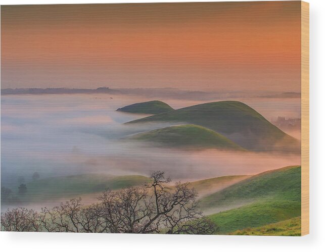 Landscape Wood Print featuring the photograph Fog at Sunrise #3 by Marc Crumpler