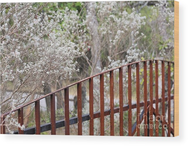  Wood Print featuring the photograph Gate 006 #3 by Jeff Downs