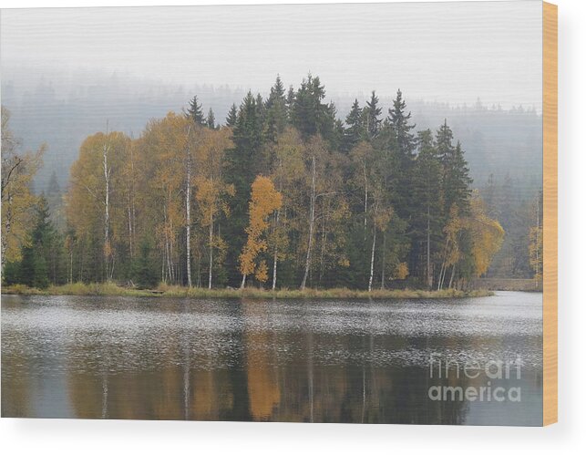 Autumn Wood Print featuring the photograph Kladska peats #3 by Michal Boubin