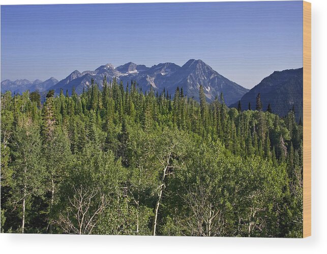 Colors Wood Print featuring the photograph Mountain Summer #3 by Mark Smith