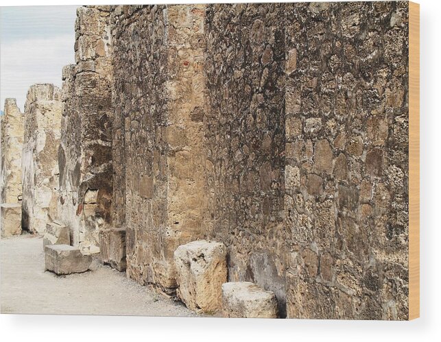 Amalfi Coast Wood Print featuring the photograph Pompeii #3 by Donn Ingemie