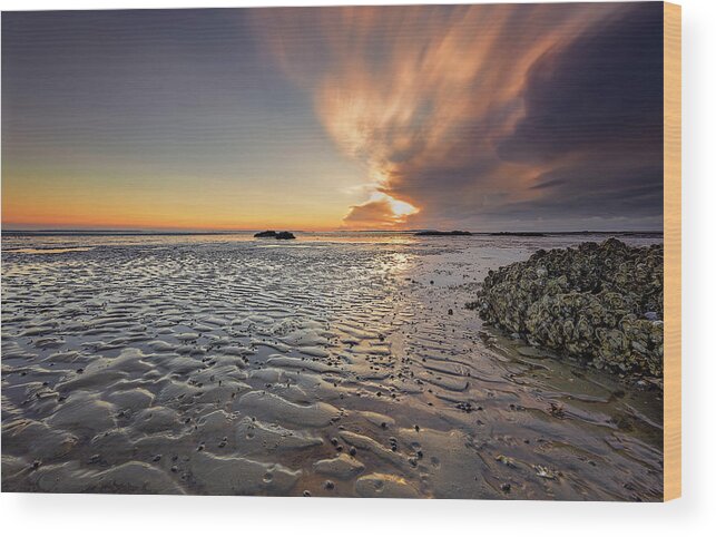 Atlantic Ocean Wood Print featuring the photograph Seascape of Hilton Head Island #3 by Peter Lakomy