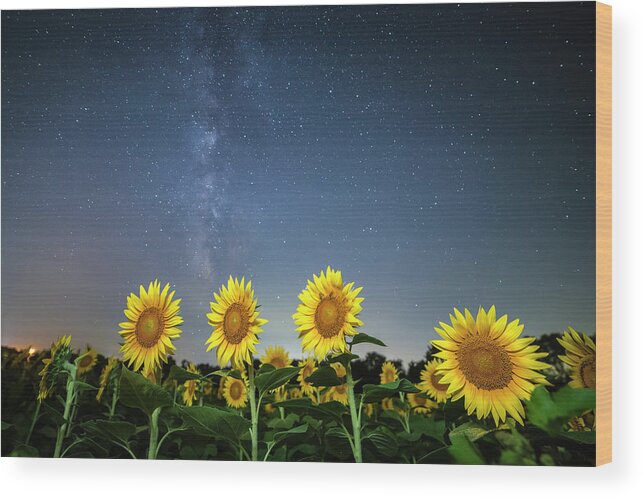 Ryan Heffron Wood Print featuring the photograph Sunflower Galaxy iv by Ryan Heffron