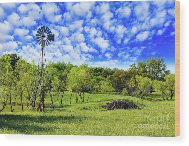 Austin Wood Print featuring the photograph Texas Hill Country #3 by Raul Rodriguez