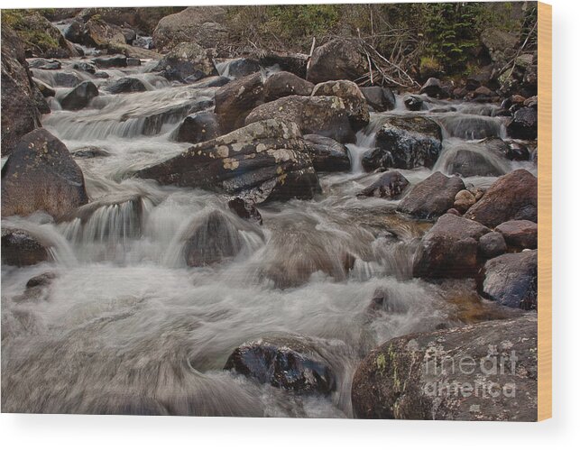 Wild Basin Wood Print featuring the photograph Wild Basin White Water #3 by Brent Parks