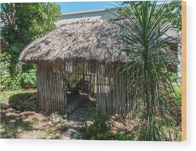 Mexico Quintana Roo Wood Print featuring the digital art Mayan Museum in Chetumal #31 by Carol Ailles