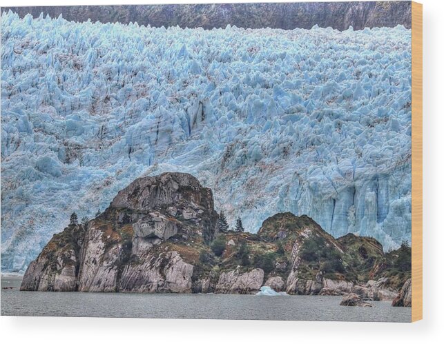 Amalia Glacier Chile Wood Print featuring the photograph Amalia Glacier Chile #37 by Paul James Bannerman