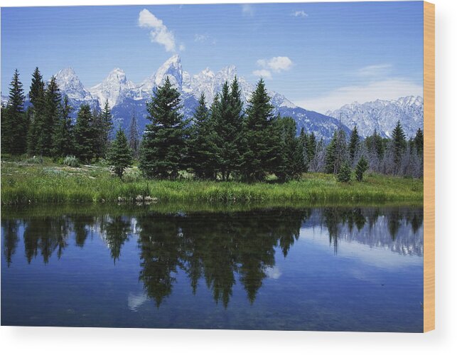 Wyoming Wood Print featuring the photograph Grand Teton National Park #39 by Mark Smith