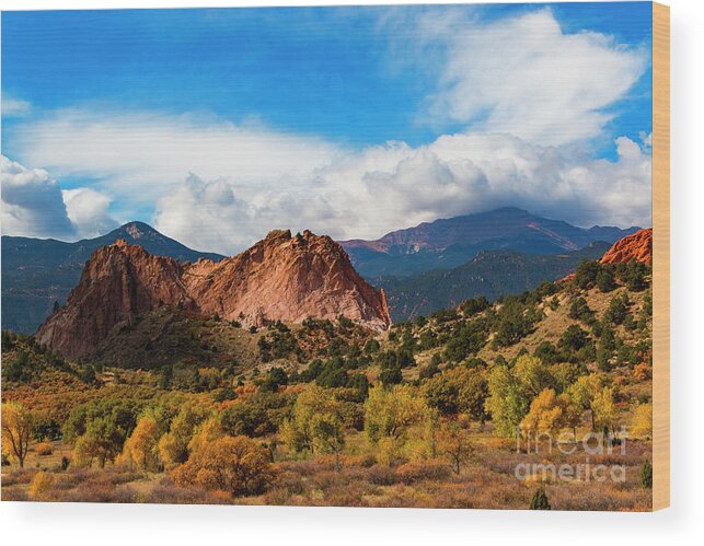 Aspen Wood Print featuring the photograph Autumn in Garden of the Gods #4 by Steven Krull