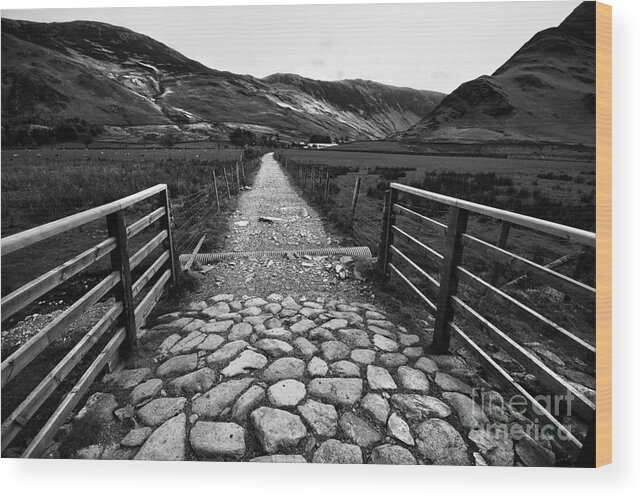 Buttermere Wood Print featuring the photograph Buttermere #4 by Smart Aviation