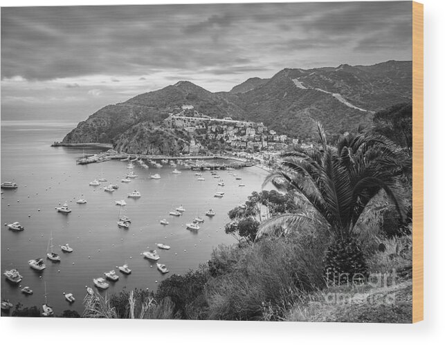 America Wood Print featuring the photograph Catalina Island Avalon Bay Black and White Picture #4 by Paul Velgos