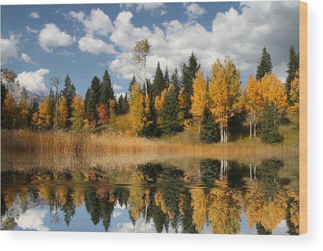 Autumn Wood Print featuring the photograph Fall Refelctions by Mark Smith