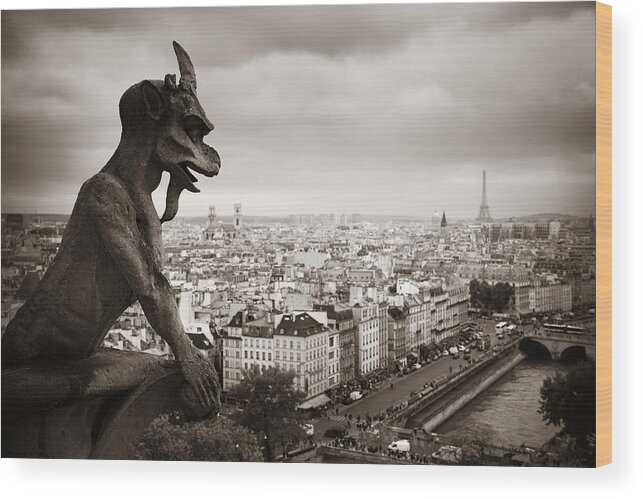 Paris Wood Print featuring the photograph Paris rooftop view #4 by Songquan Deng