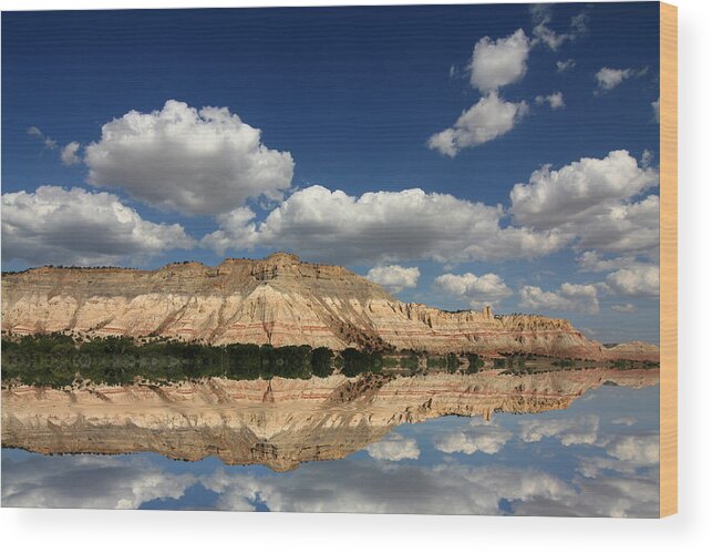 Arches National Park Wood Print featuring the photograph Red Rock Reflections #4 by Mark Smith
