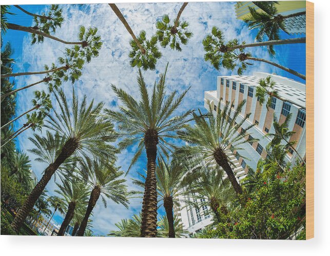 Architecture Wood Print featuring the photograph Miami Beach #40 by Raul Rodriguez